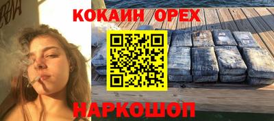 прущие крисы Будённовск