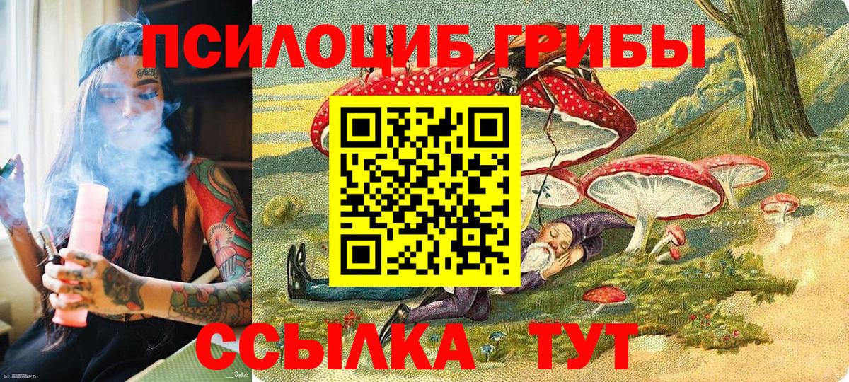 купить  цена  Зеленокумск  Галлюциногенные грибы мухоморы 