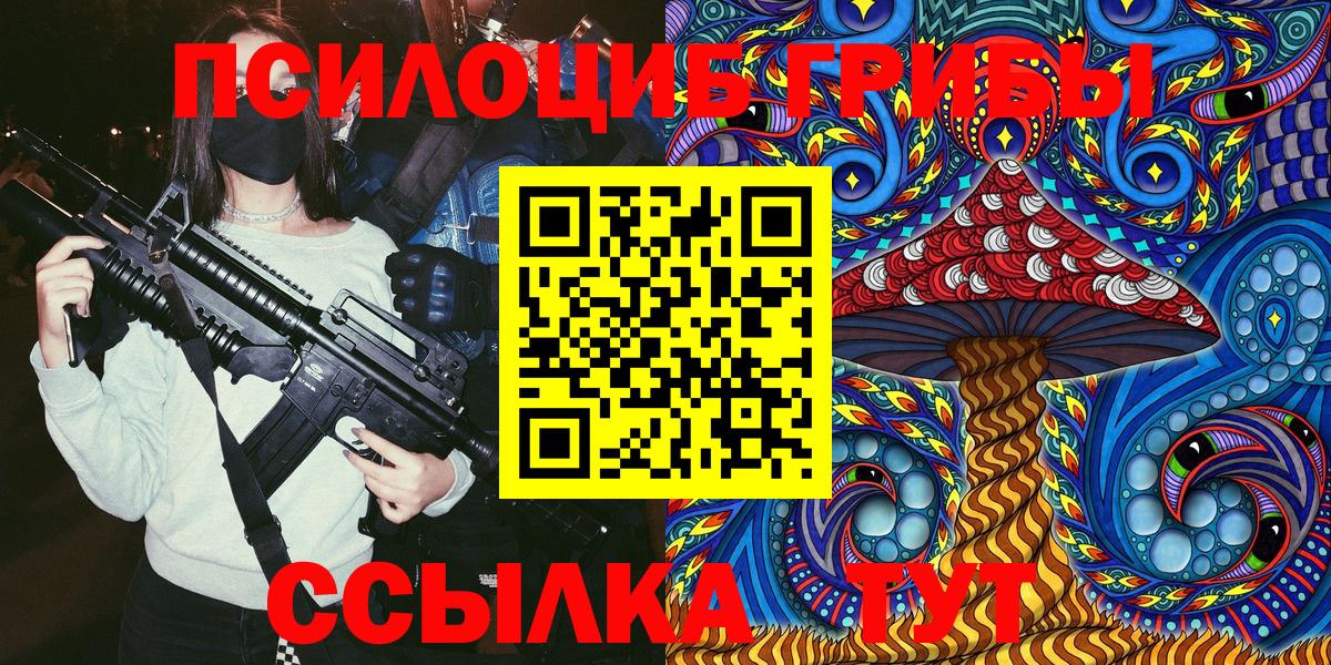 Зеленокумск  Псилоцибиновые грибы Psilocybe  Вход с VPN 