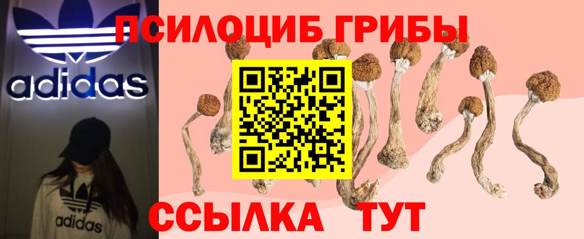 Псилоцибиновые грибы прущие грибы Зеленокумск